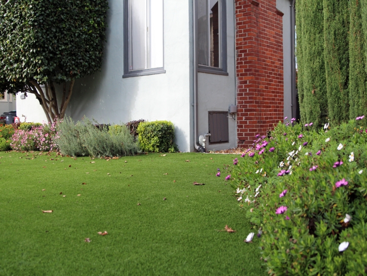 Outdoor Carpet Merced, California Lawn And Landscape, Front Yard Landscaping