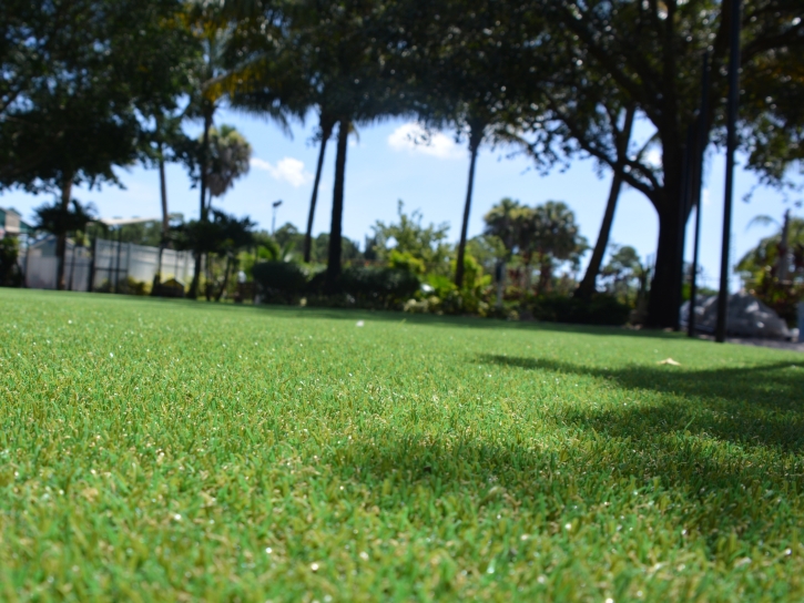 Plastic Grass Livingston, California Landscape Rock, Recreational Areas