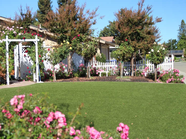 Plastic Grass Los Banos, California Roof Top, Front Yard Landscaping