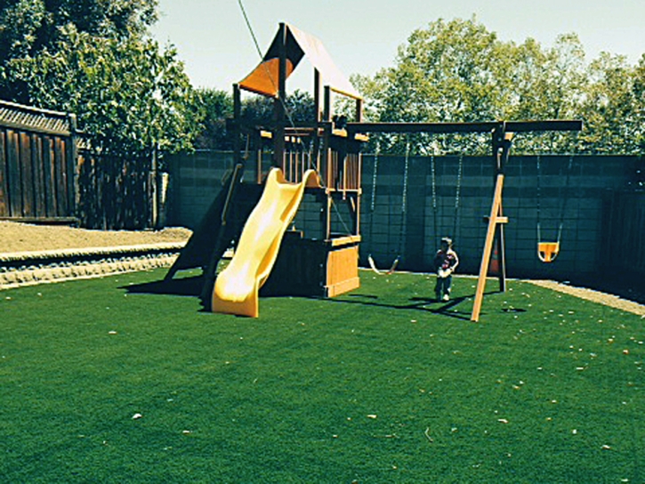 Plastic Grass Merced, California Landscape Design, Backyard