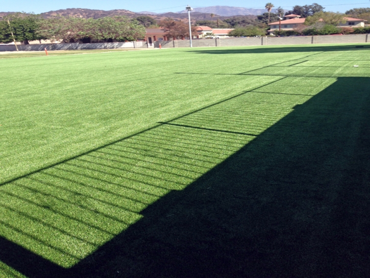 Plastic Grass Tuttle, California City Landscape