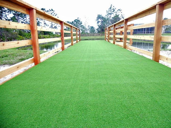 Synthetic Grass Cost Los Banos, California Watch Dogs, Commercial Landscape