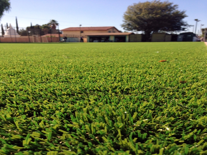 Synthetic Grass Cost South Dos Palos, California Lawn And Garden