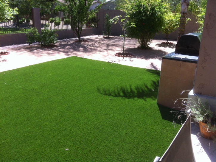 Synthetic Grass Cost South Dos Palos, California Watch Dogs, Beautiful Backyards