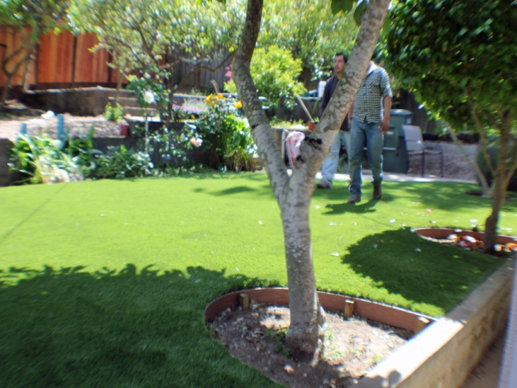 Synthetic Grass Cost Tuttle, California Design Ideas, Backyard Landscape Ideas