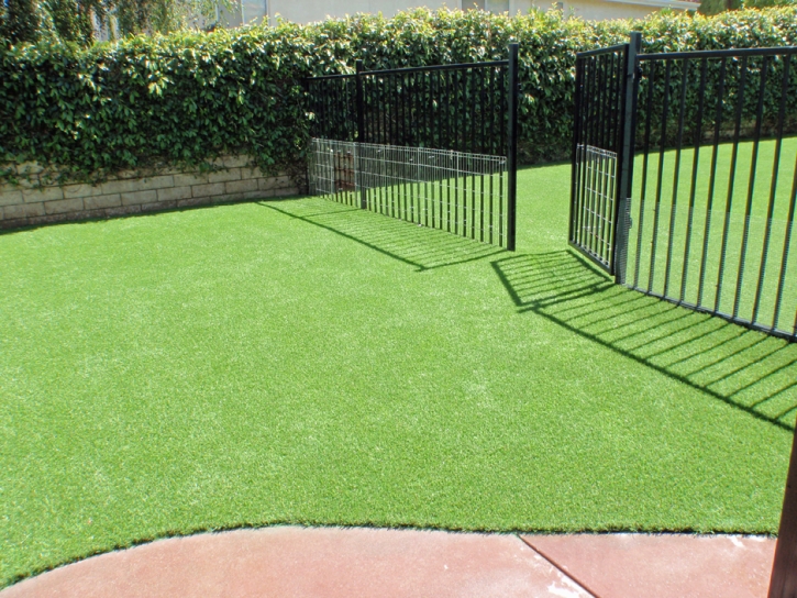 Synthetic Grass Cressey, California Fake Grass For Dogs, Small Front Yard Landscaping