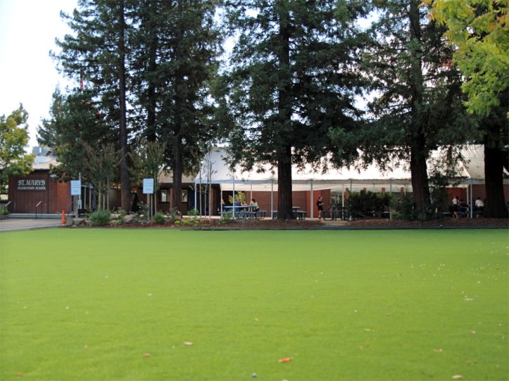 Synthetic Grass Delhi, California Paver Patio, Recreational Areas