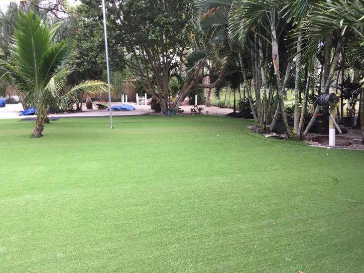 Synthetic Grass Tuttle, California Gardeners, Commercial Landscape