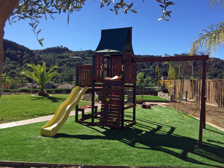 Synthetic Grass Volta, California Indoor Playground