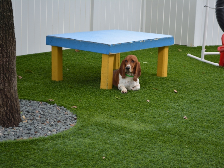 Synthetic Lawn Atwater, California Pet Grass, Dog Kennels