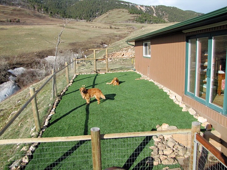 Synthetic Lawn Stevinson, California Landscape Rock, Backyard Landscaping