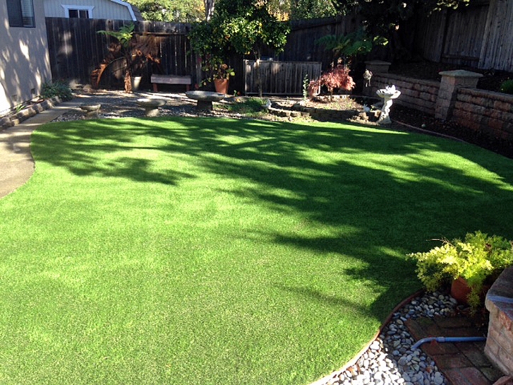 Synthetic Lawn Volta, California Roof Top, Backyard Makeover