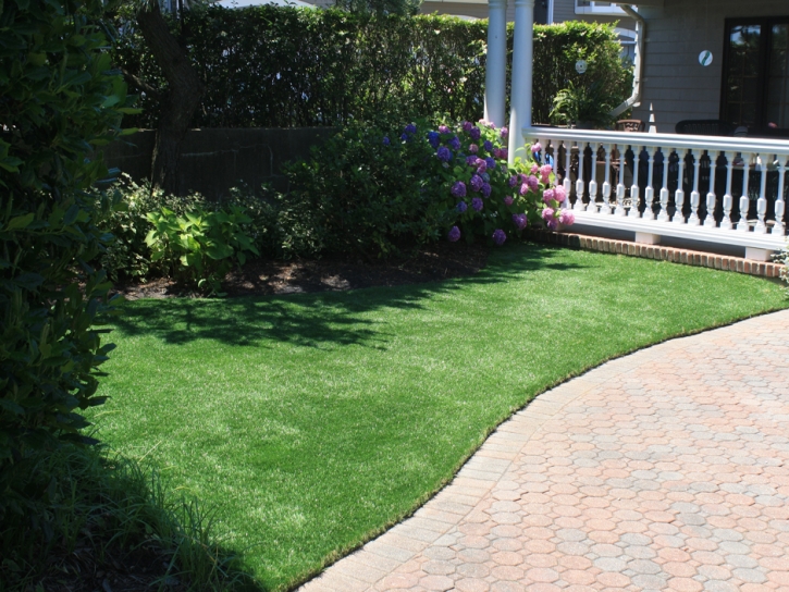 Synthetic Turf Le Grand, California Dog Park, Front Yard Design