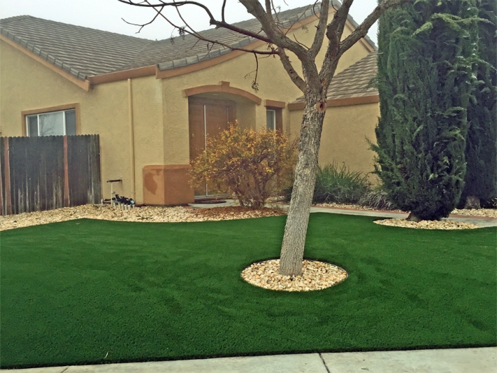 Synthetic Turf Supplier Winton, California City Landscape, Landscaping Ideas For Front Yard