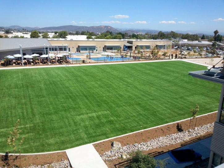 Turf Grass Hilmar-Irwin, California Stadium, Commercial Landscape