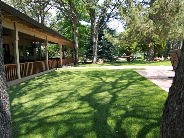 Turf Grass Livingston, California Roof Top, Backyards