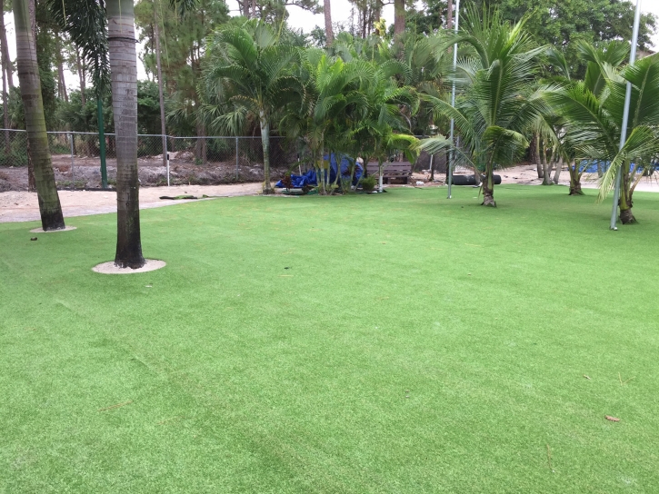 Turf Grass Planada, California Lawn And Garden, Commercial Landscape