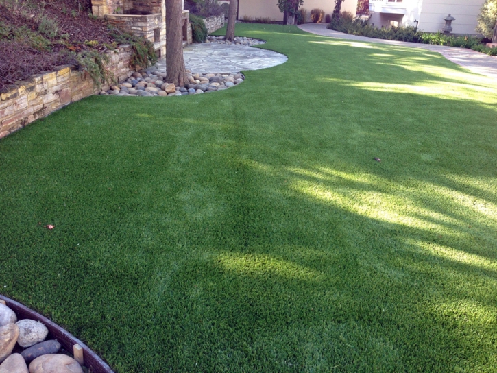 Turf Grass South Dos Palos, California Paver Patio, Backyard Ideas